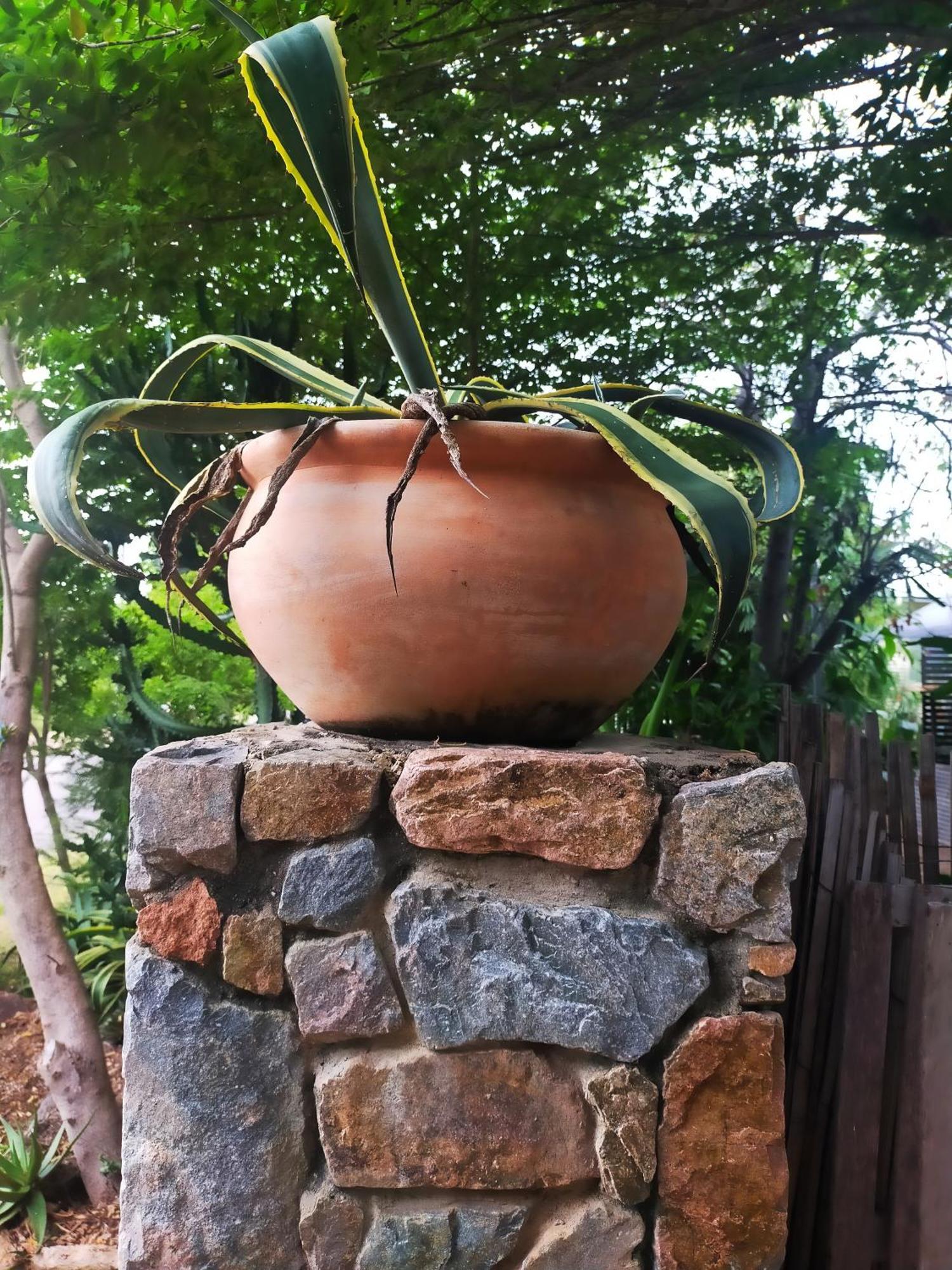 Kapok Pod Entire Studio Horseshoe Bay Dış mekan fotoğraf